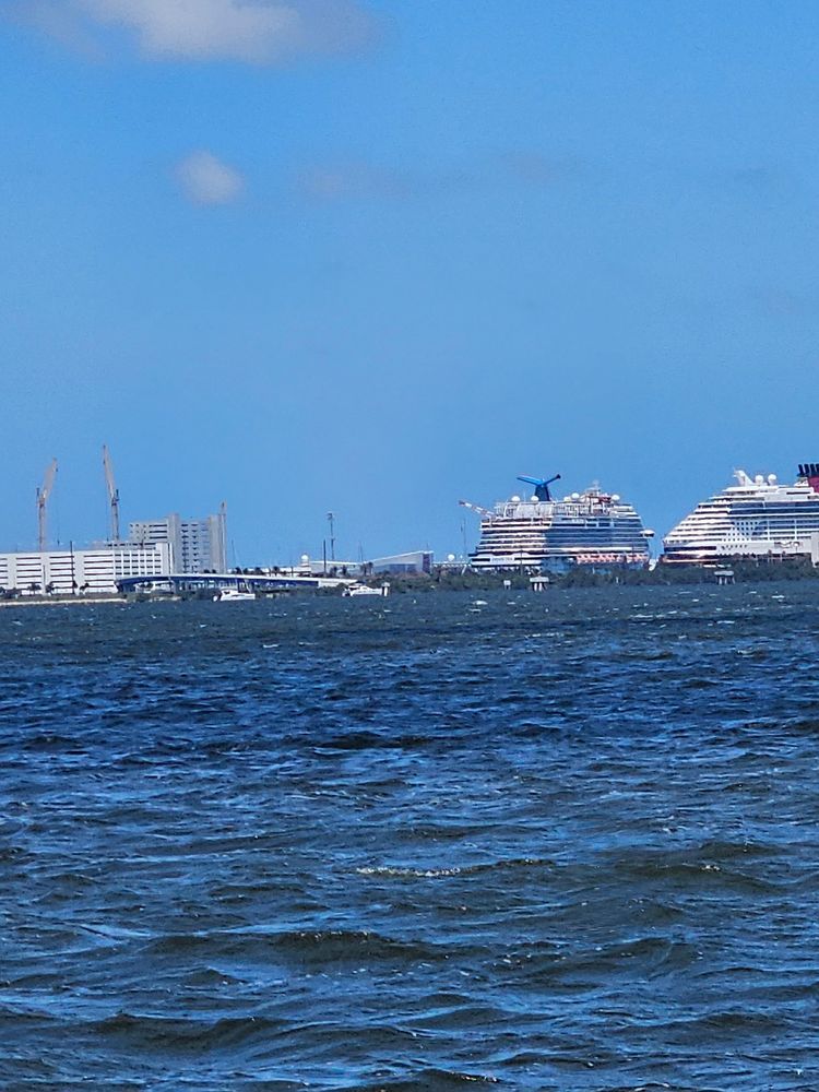 Sightseeing Tours | Dolphin Island Tours